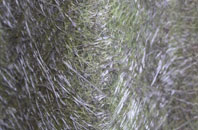 Rimac fibreglass roof work